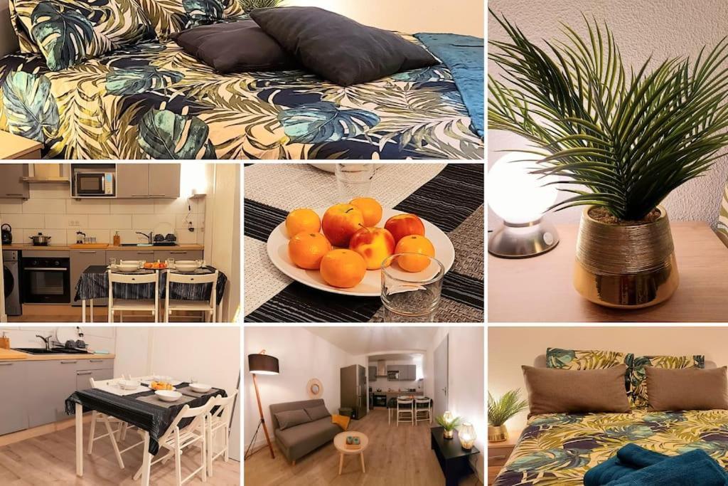 Zenith - Cartoucherie - Purpan Apartment Тулуза Екстериор снимка